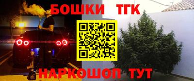 альфа пвп Волгодонск