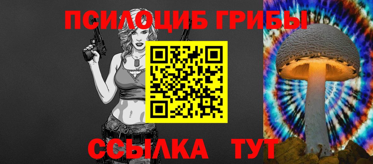 как найти закладки  Вход с VPN  Галлюциногенные грибы GOLDEN TEACHER  Нурлат  Галлюциногенные грибы Cubensis 