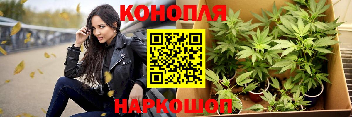 Бошки Шишки планчик  Вход с VPN  Каннабис планчик  МАРИХУАНА индика  Нурлат 